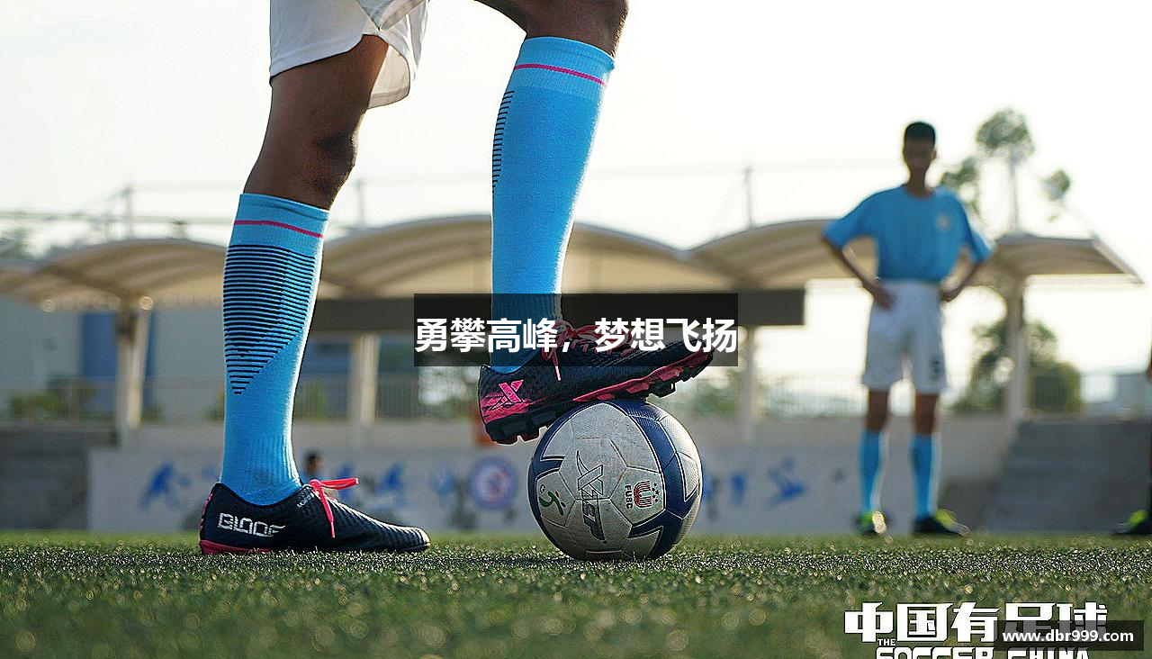 勇攀高峰，梦想飞扬